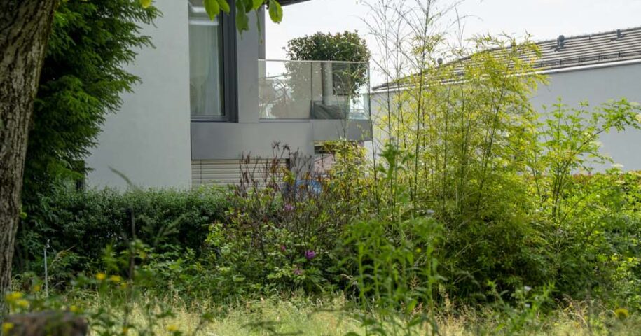 Jardin